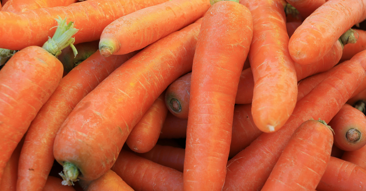 400 kilos of carrots stolen in Benguet farm — Who is behind it?