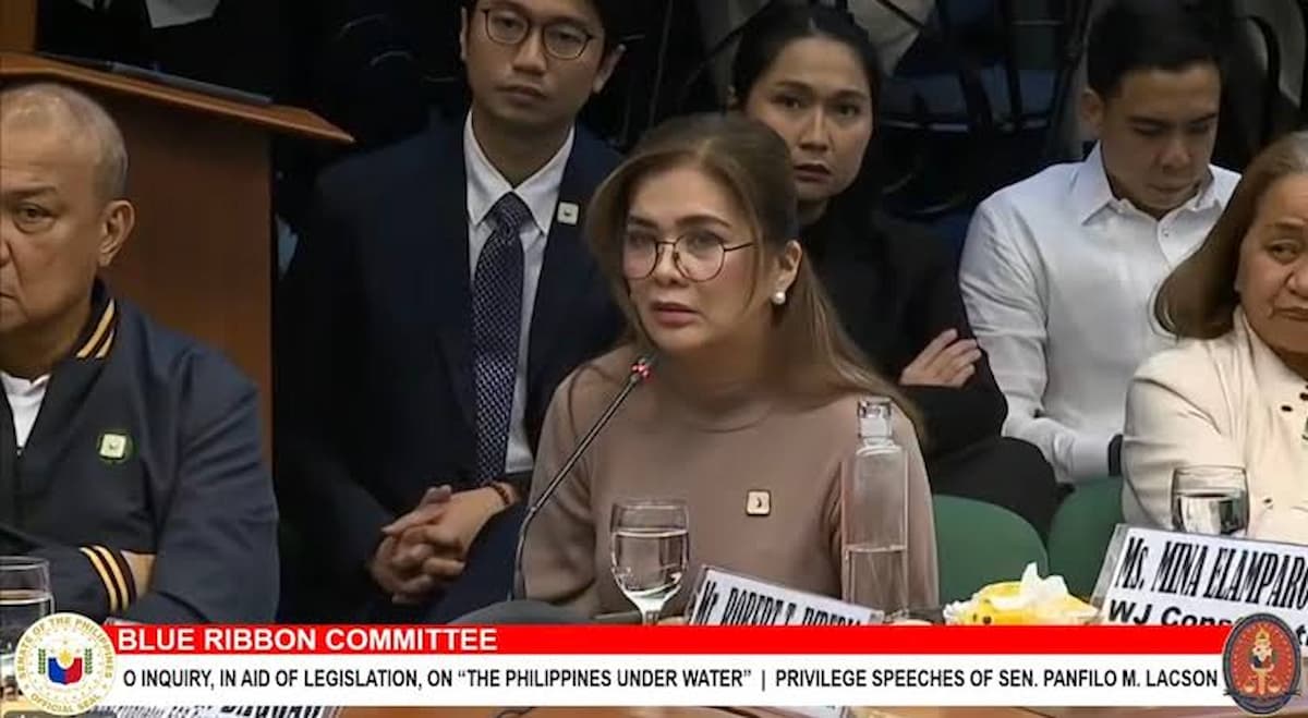 Mina Jose ng WJ Construction, umamin na bumisita sa opisina ni Sen. Tulfo para sa veranda repair