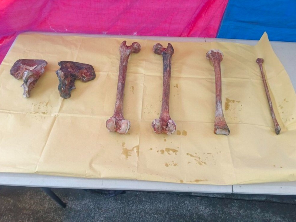 57 buto, muling nahukay sa Taal Lake; imbestigasyon sa pagkawala ng mga sabungero, tumitindi