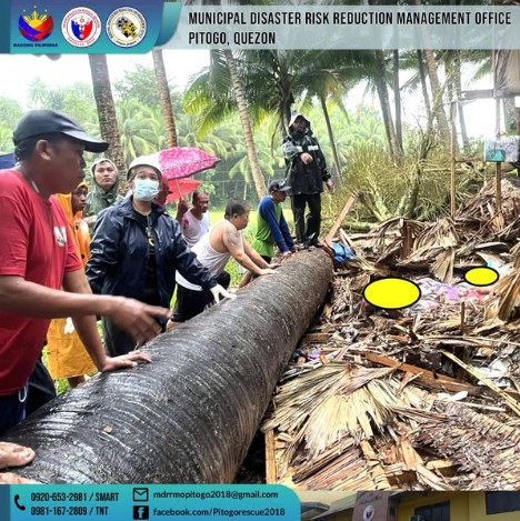 5, patay matapos mabagsakan ng puno ang bahay ng pamilya sa Quezon; bata, maswerteng nakaligtas