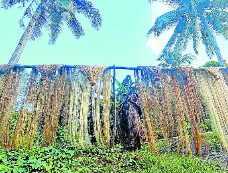 Abaca Fiber, Susi sa Makabagong Solusyon sa Plastik na Polusyon