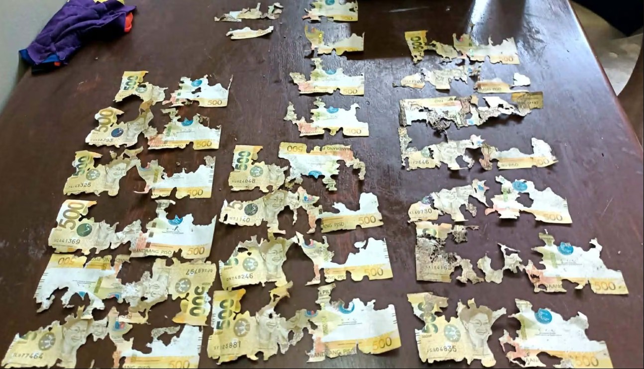 Damaged peso bills? BSP says they can be replaced