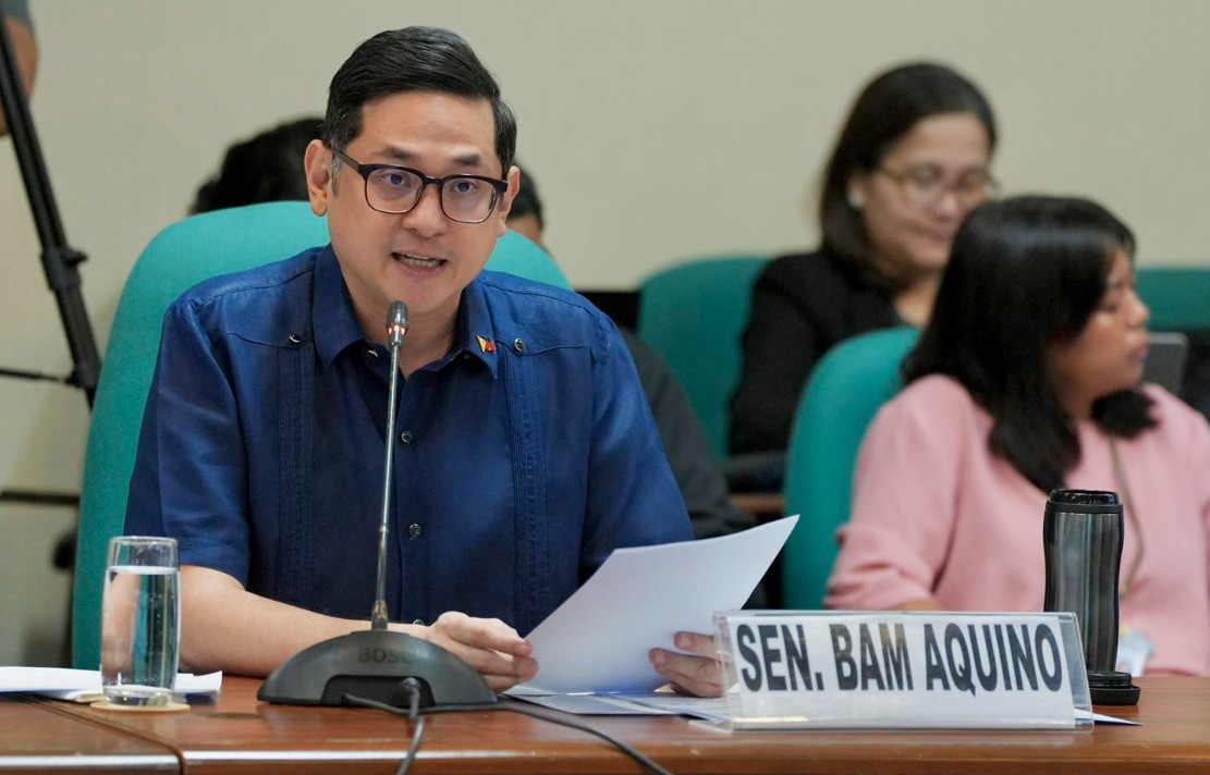 Why are we paying for subsidies? Bam Aquino says government must foot the bill, not consumers
