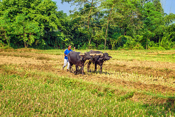 DA inilunsad ang P60K mababang-interest na pautang, P8K buwanang tulong para sa mga magsasaka sa bagong agri-program