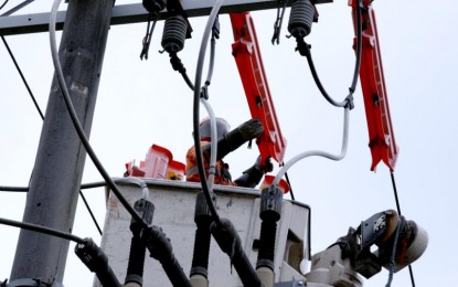 House passes Energy Storage Act, guarantees safety net for line workers