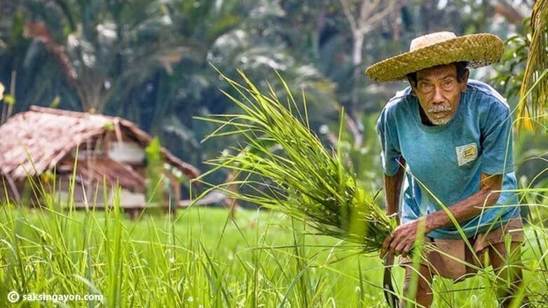 PH agri, nakatikim ng unang paglago ngayong taon