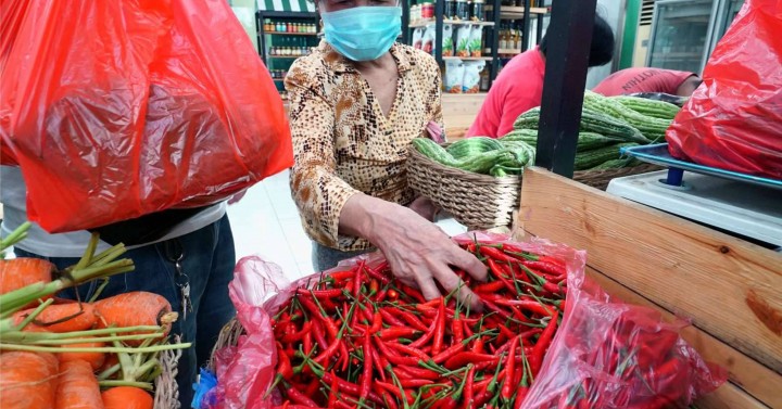 P800/kilo peppers?! Typhoon-resistant farming is here to save the day … and our wallets