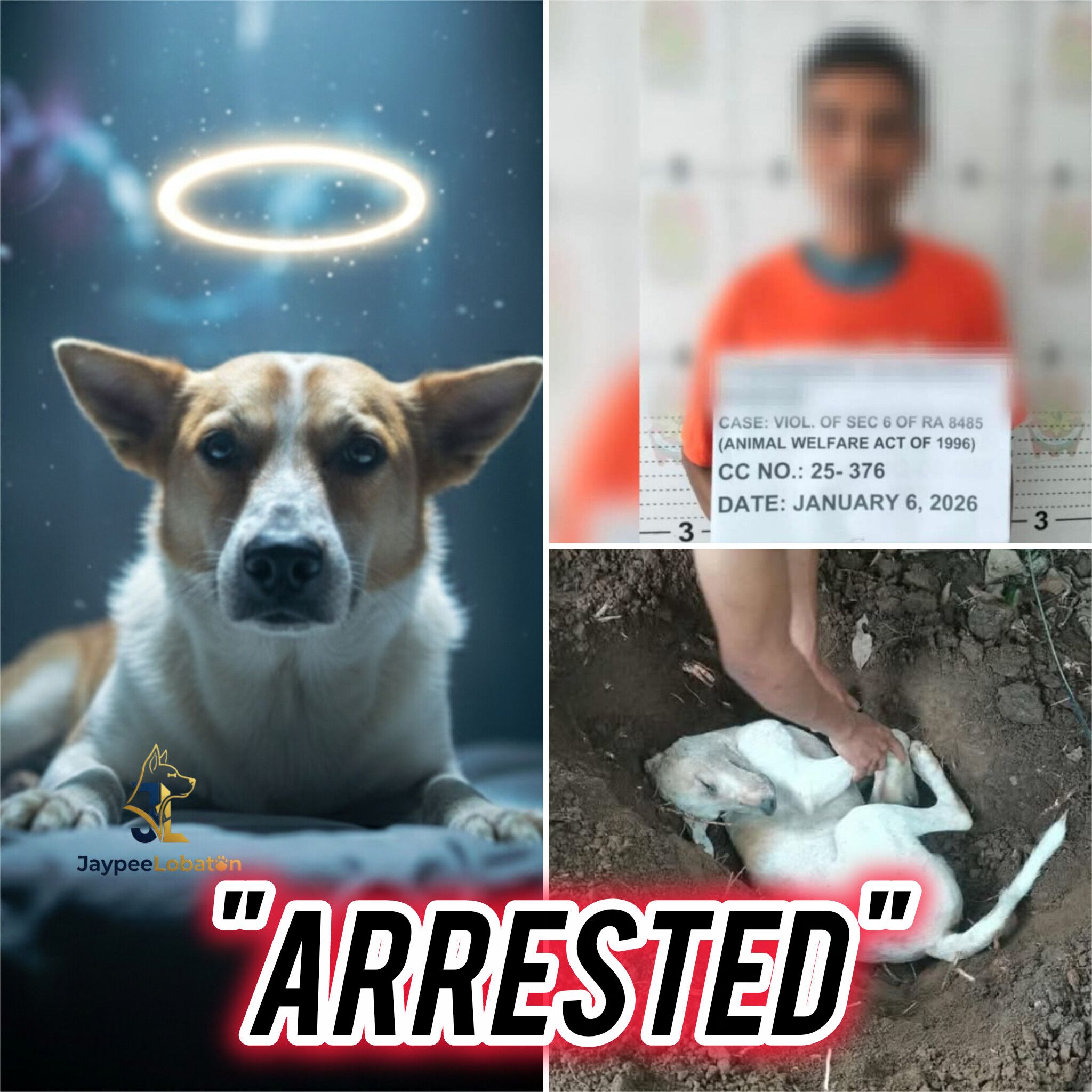 From Tragedy to Justice: Can the law truly protect animals like Argus?