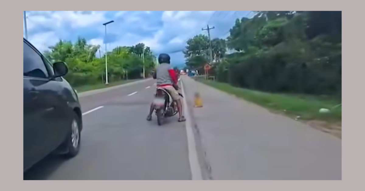 Toddler found alone along Bohol highway — how did supervision fail?