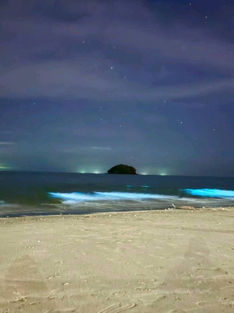 Nakamamanghang Tanawin: Bioluminescence sa baybayin ng Roxas City