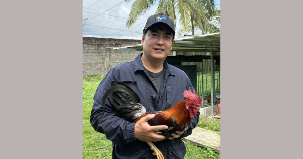 Bong Revilla: From Box-Office Star to Senate Powerhouse, and Back to the Courtroom