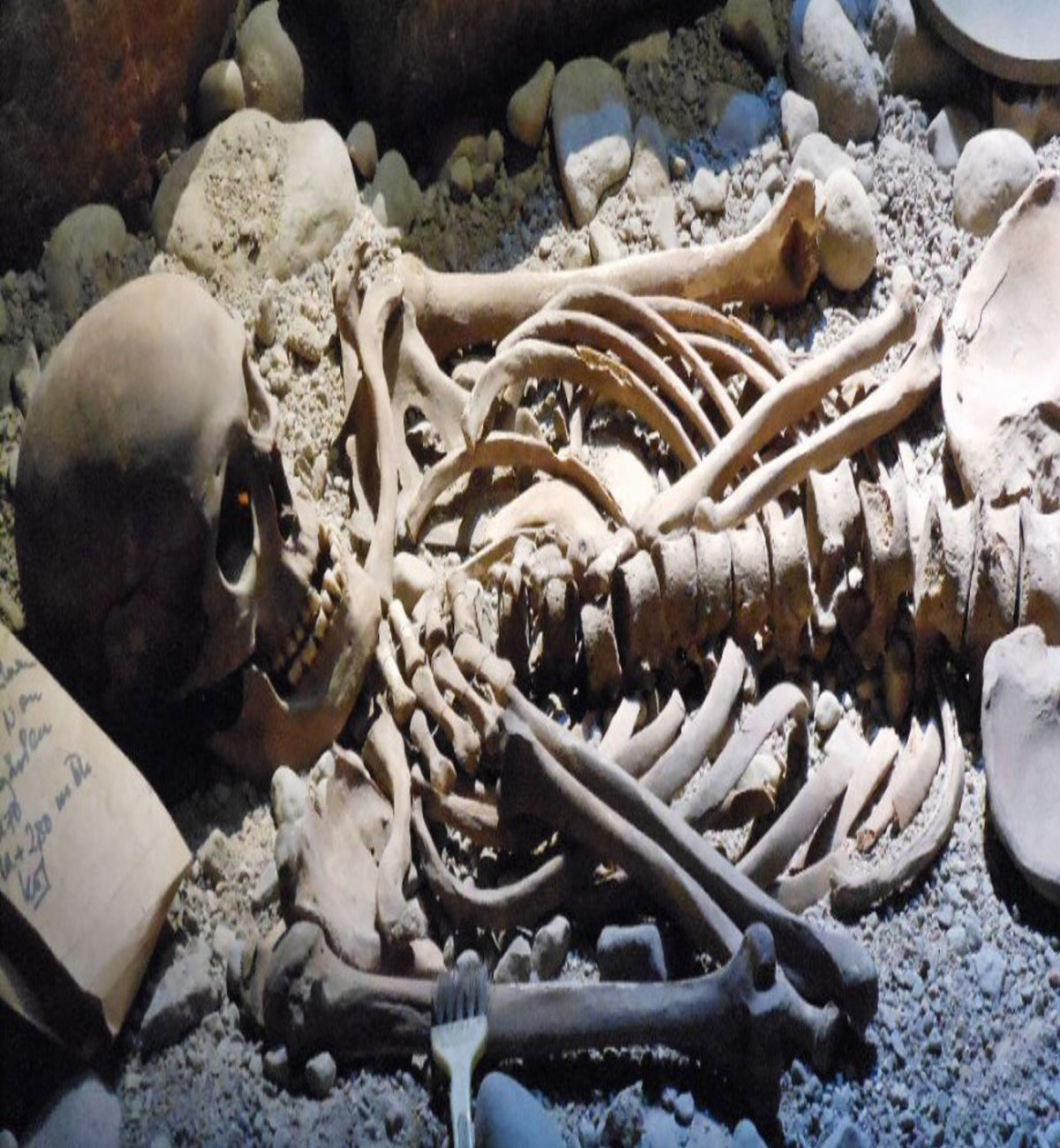 163 mula sa kabuuang 401 na piraso ng buto ng tao na natagpuan sa Taal Lake, wala paring tumugma sa DNA