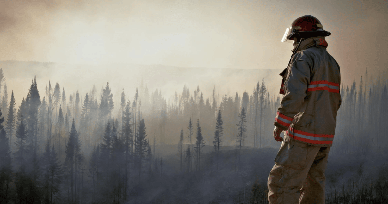 Altadena CA: Negosyo Bumabangon Matapos ang Wildfires