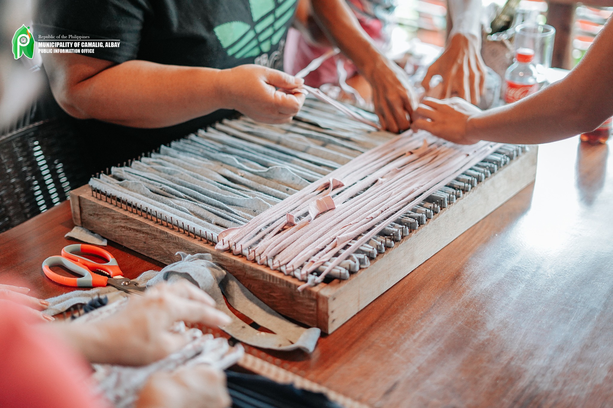 Tingnan: PWDs at solo parents sa Camalig, Albay, kabilang sa livelihood training para sa karagdagang kabuhayan