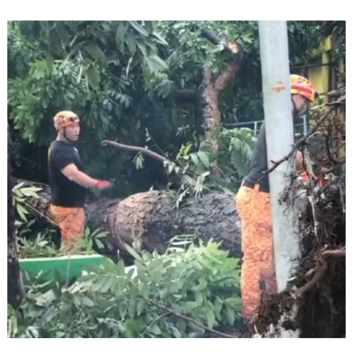 Buhawi nanalasa sa Brgy. Magang, Daet; isang Senior Citizen at 13-anyos na pamangkin, nasawi