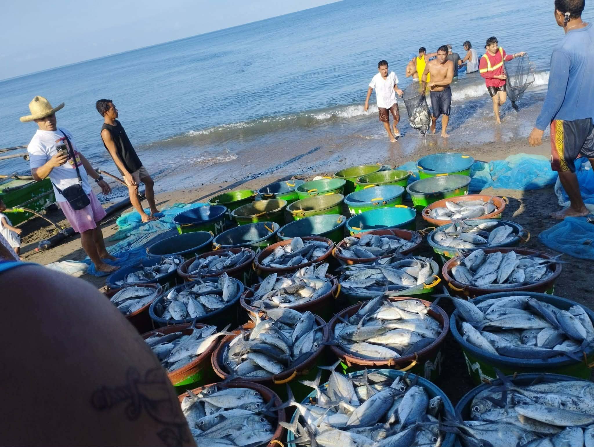 A bountiful catch in Antique — Blessing or a wake-up call for marine protection?