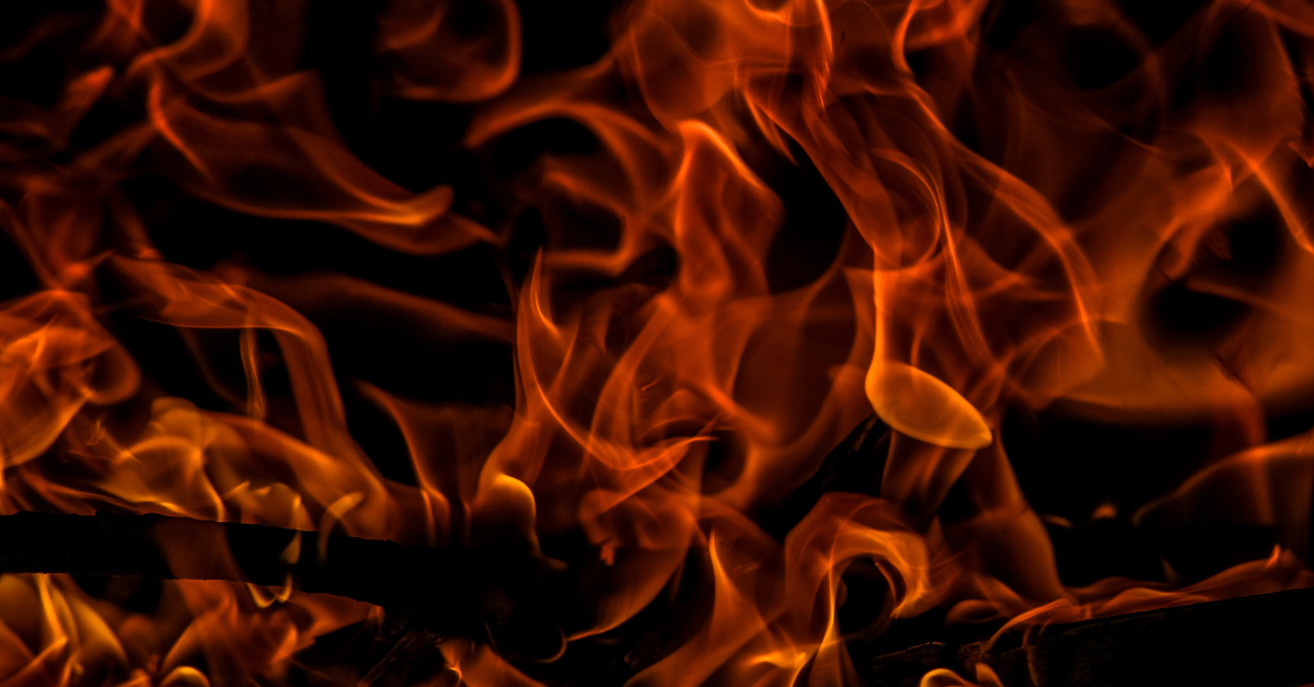 Missing pet found burned — Neighbor faces cruelty complaint