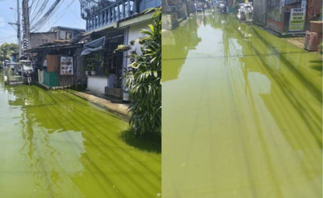 Barangay matcha? Bahang kulay-luntian, problemado pa rin ang mga residente sa Bay, Laguna