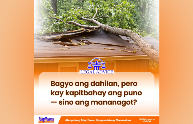 Puno ng kapitbahay bumagsak sa bahay dahil sa bagyo: Sino na ba ang dapat managot?