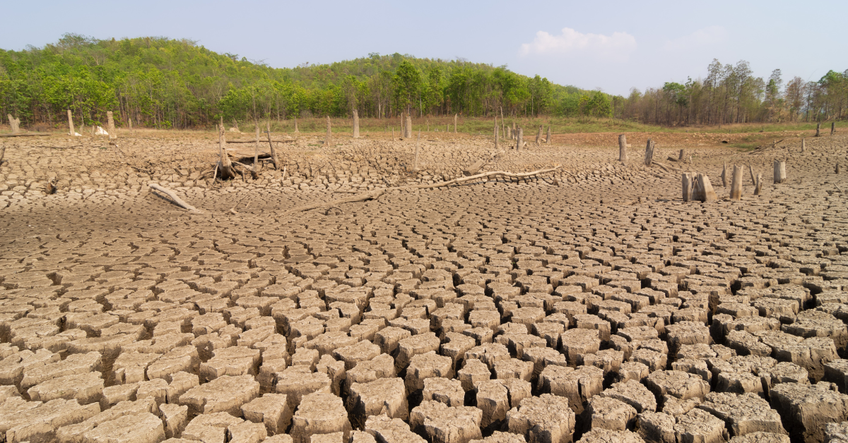 PAGASA declares start of dry season as amihan ends
