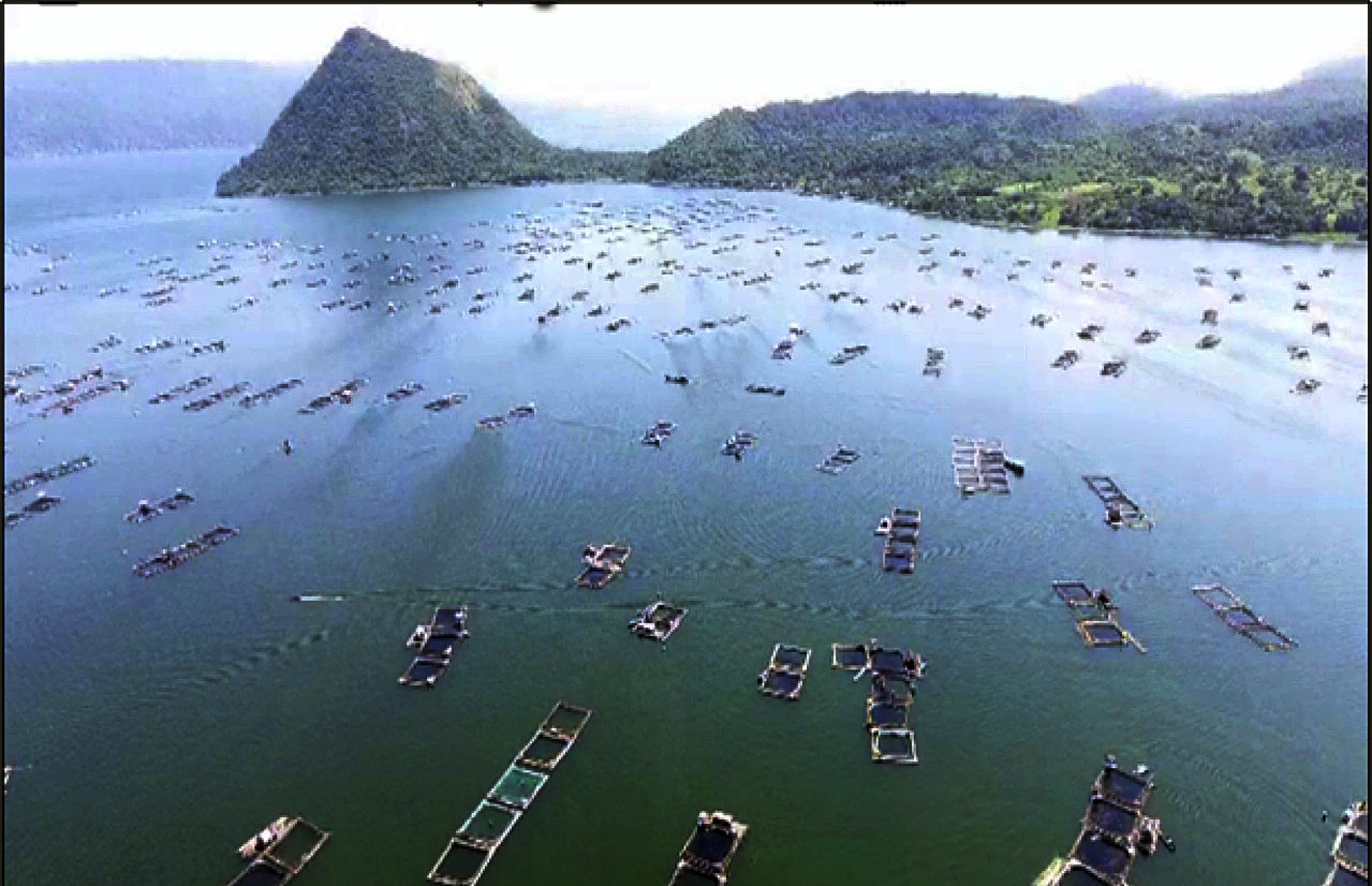 Takot sa isda mula Taal, kumalat: Mga tindera, mangingisda umaaray