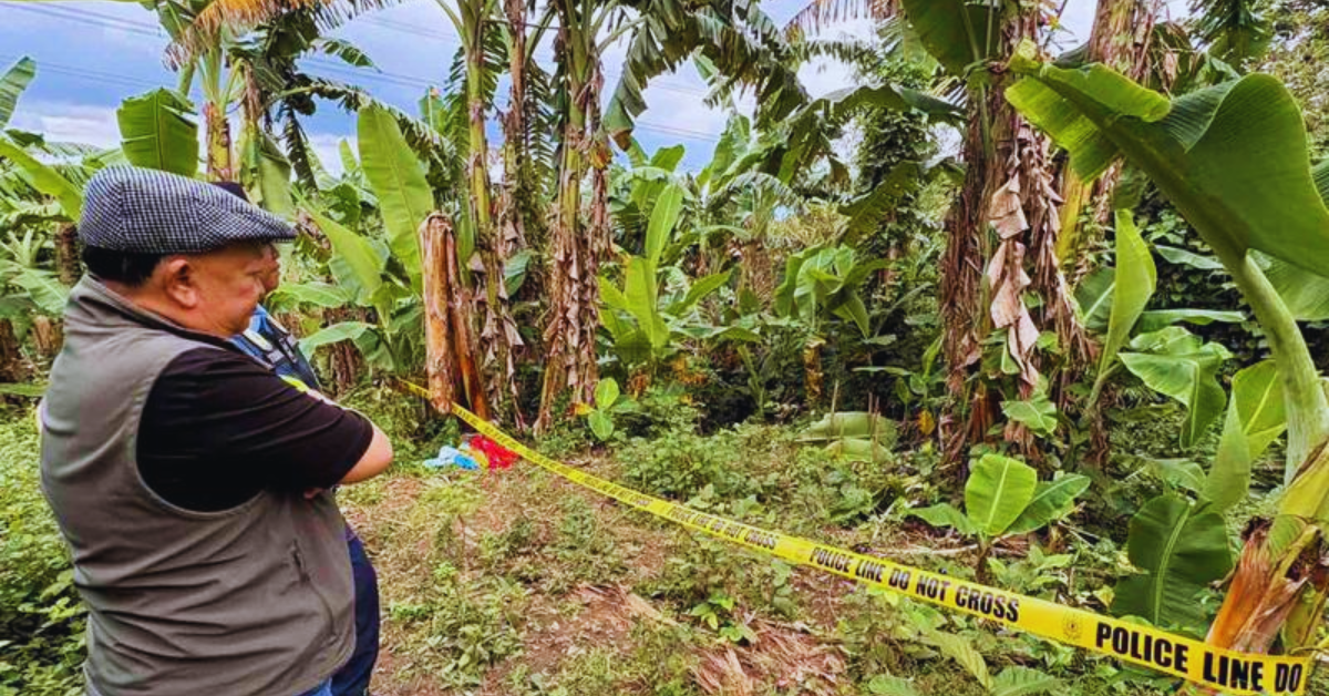 Another brutal crime: Grade 3 pupil hacked to death on his way to school - Is law enforcement losing its grip?