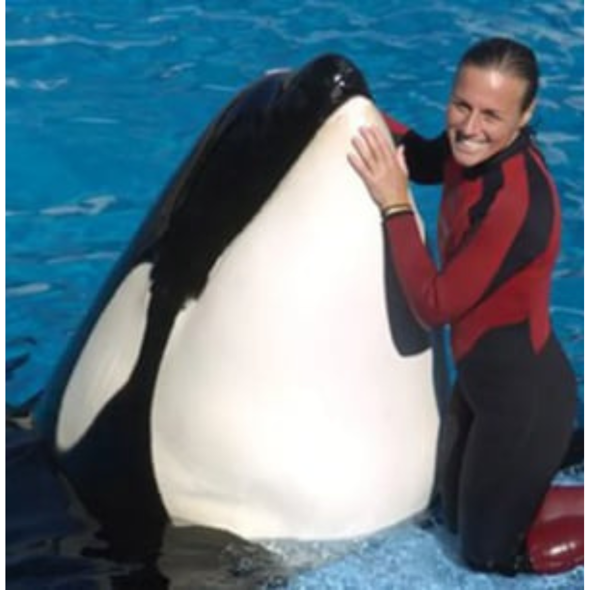 Ai generated ! Trahedya tungkol kay Jessica Radcliffed at sa alaga nyang Dolphin