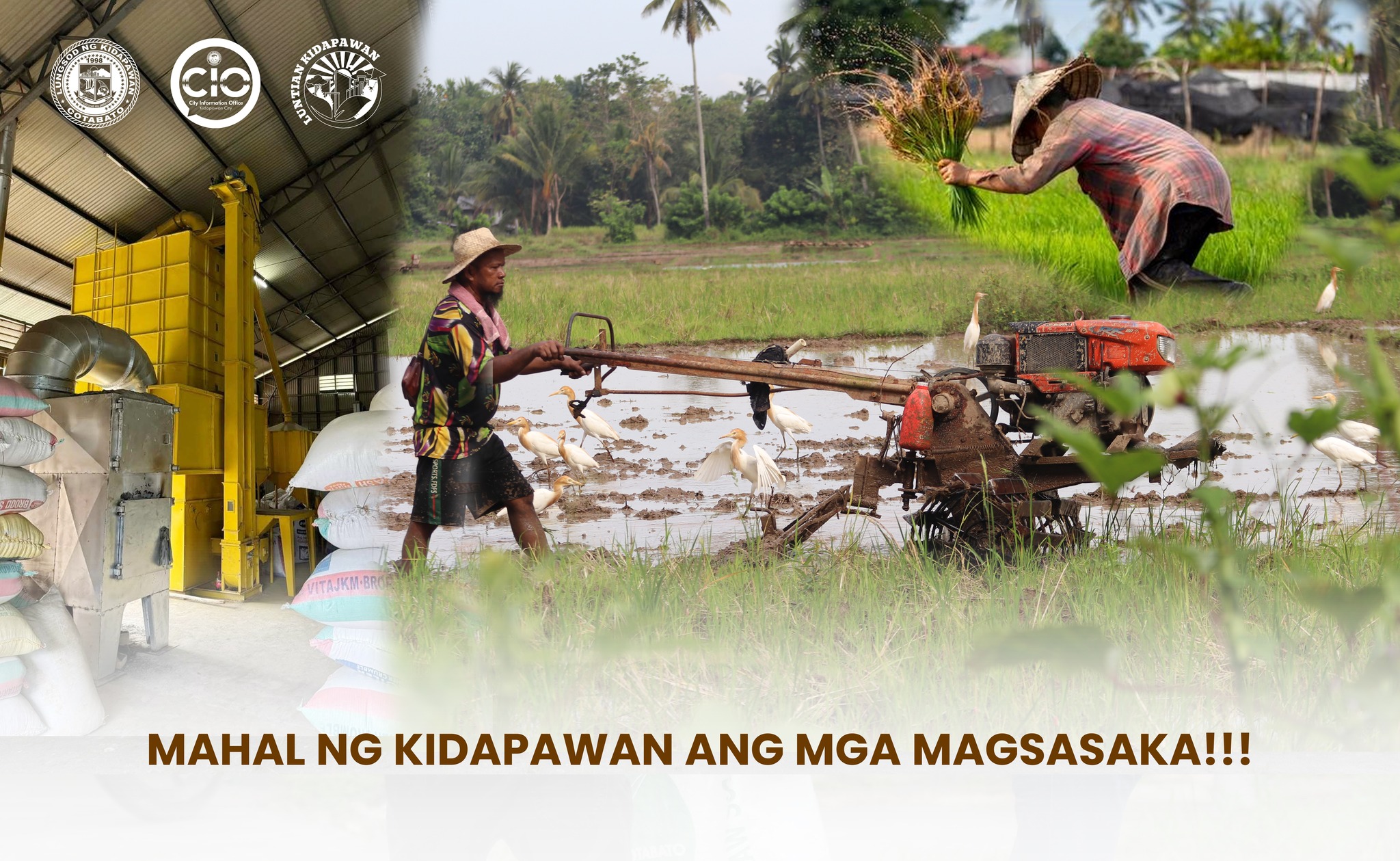 Lokal na Pamahalaan ng Kidapawan, direktang binibili ang mga palay sa mga magsasaka sa mas mataas na halaga