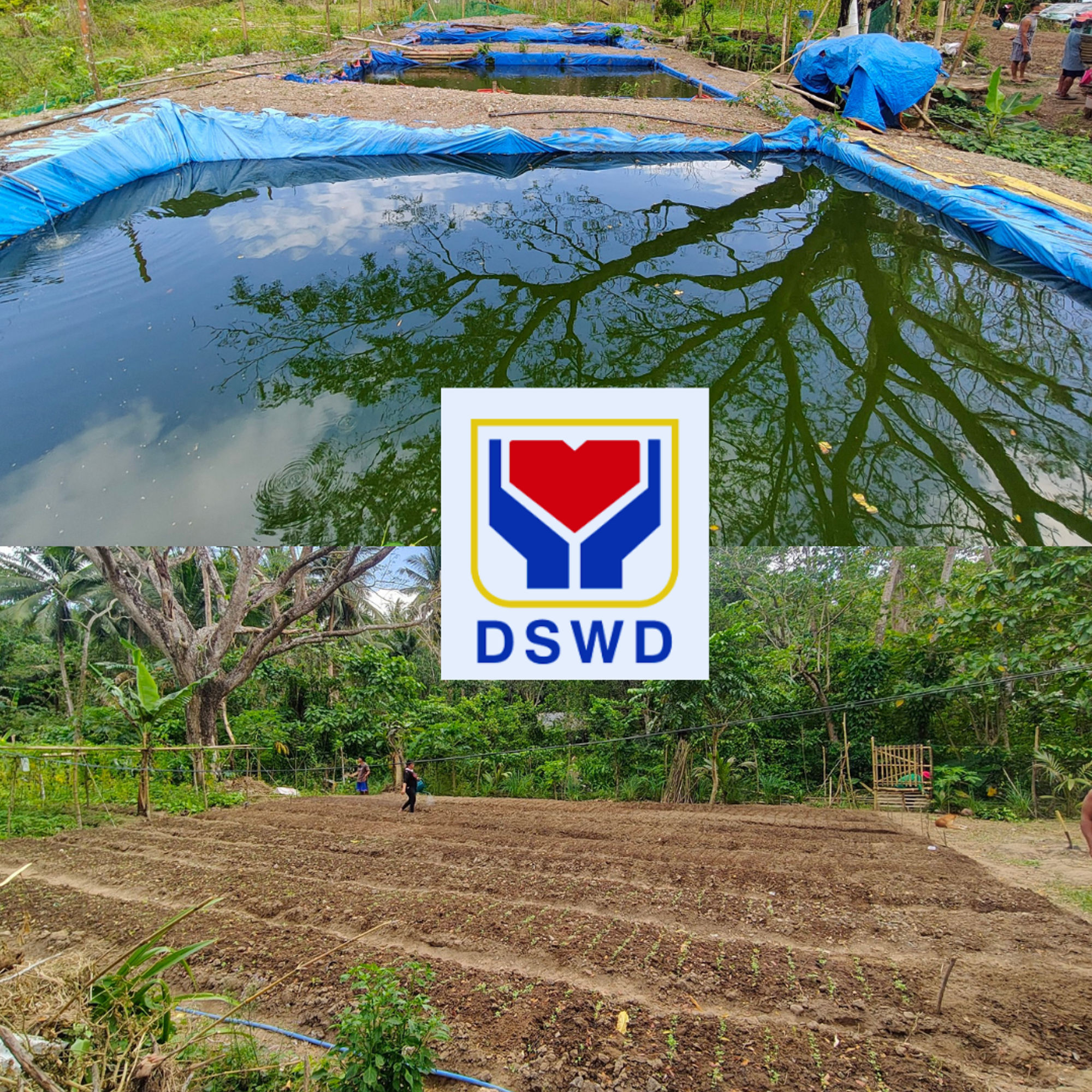 DSWD strengthens local cooperation in Marinduque — Is resilience achievable without continuous support?