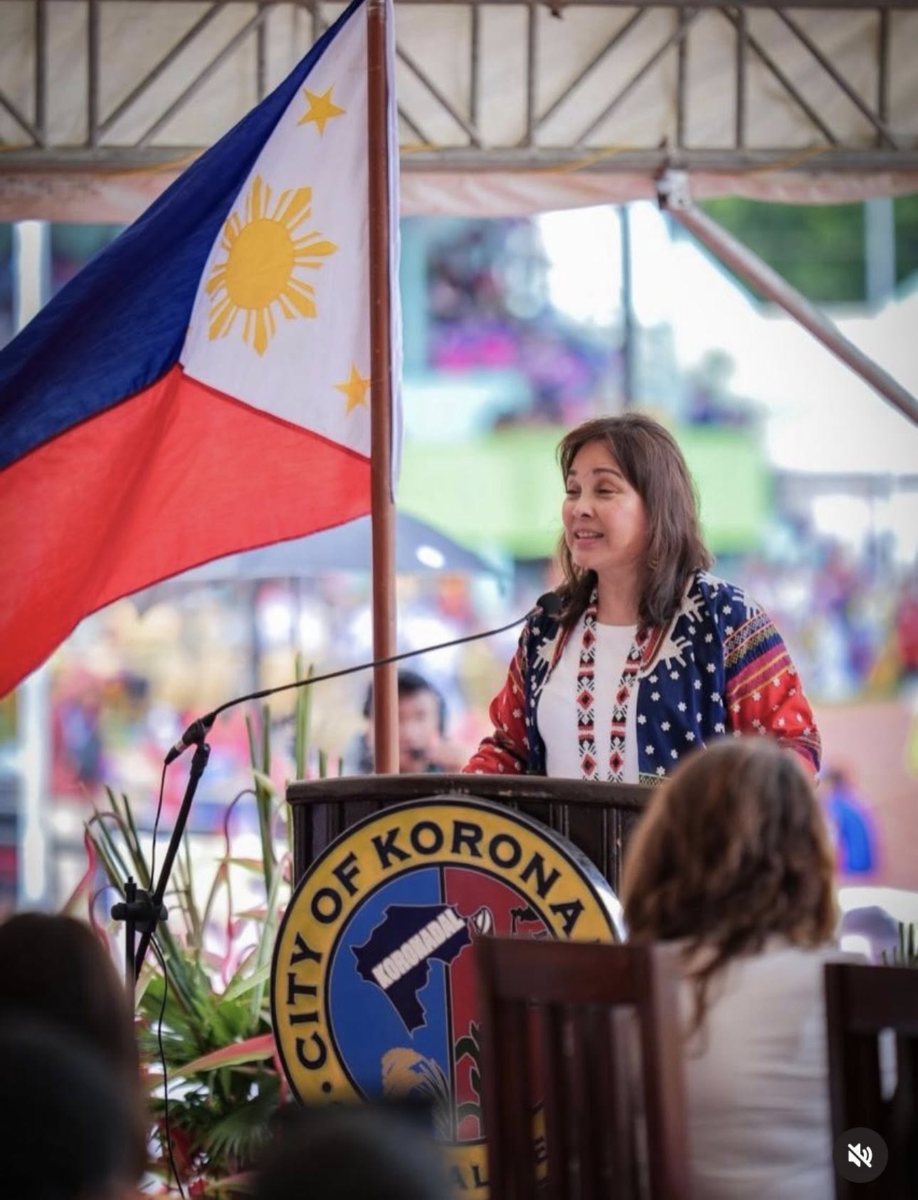 Legarda pushes to exempt basic goods, services, and medicines from VAT and reduce the overall rate