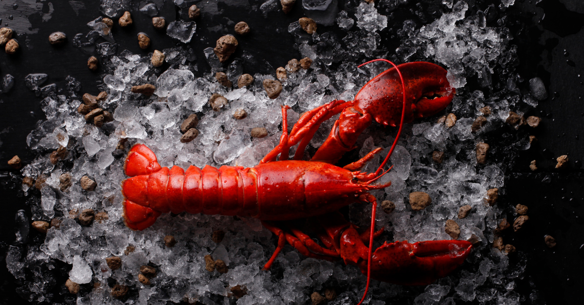 How $400,000 lobster shipment bound for Costco stolen?