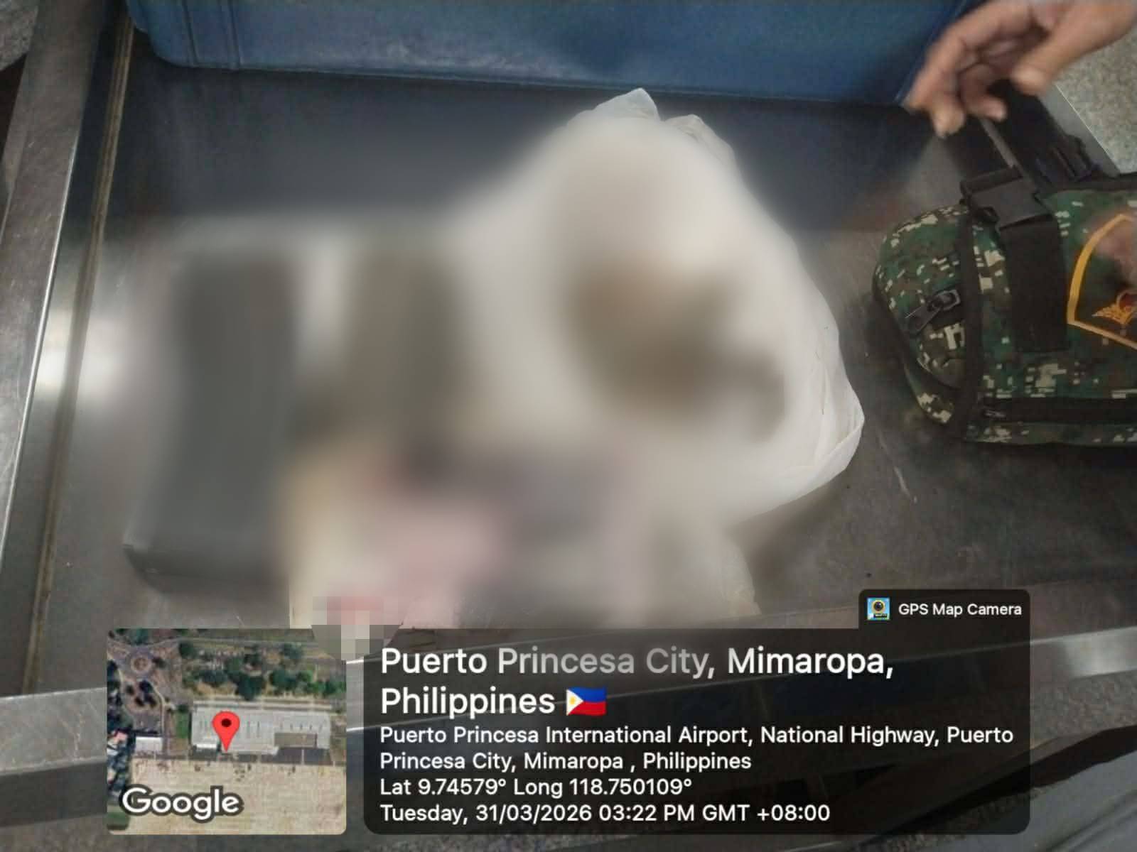 Grandmother arrested at Palawan airport with ammo — Honest mistake?