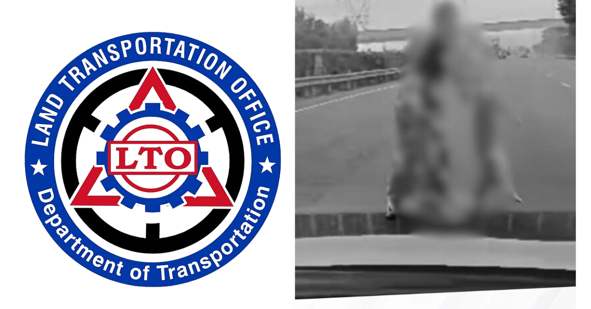 Driver summoned after NLEX stop for dead animal — compassion or danger?