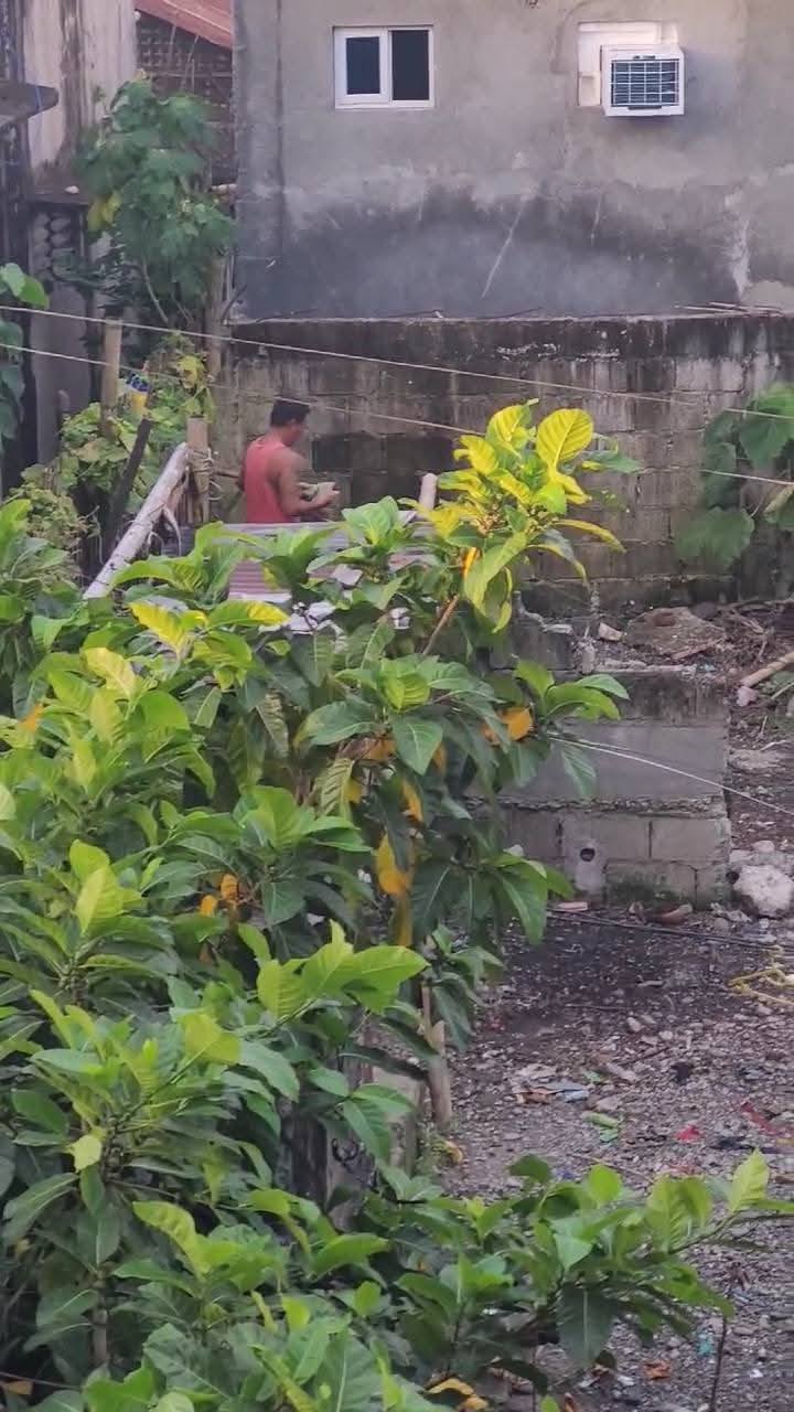 British expat complains of noisy neighbor’s chickens in Kalibo — Can urban poultry farming coexist with residential peace?