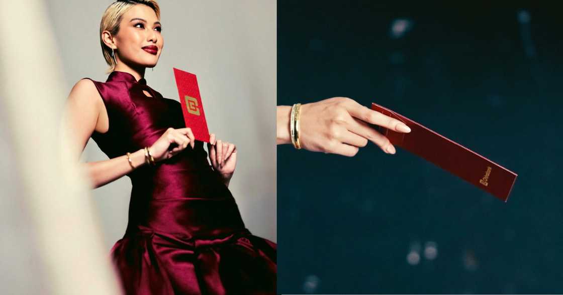 Nilaro ang bashers! Michelle Dee, may pa-Angpao!