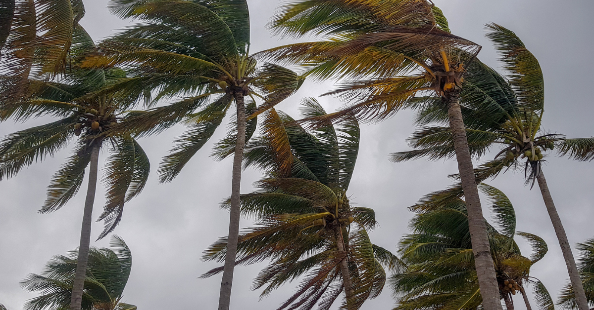 Mirasol palabas na ng PAR, bagong bagyong Nando bantang super typhoon