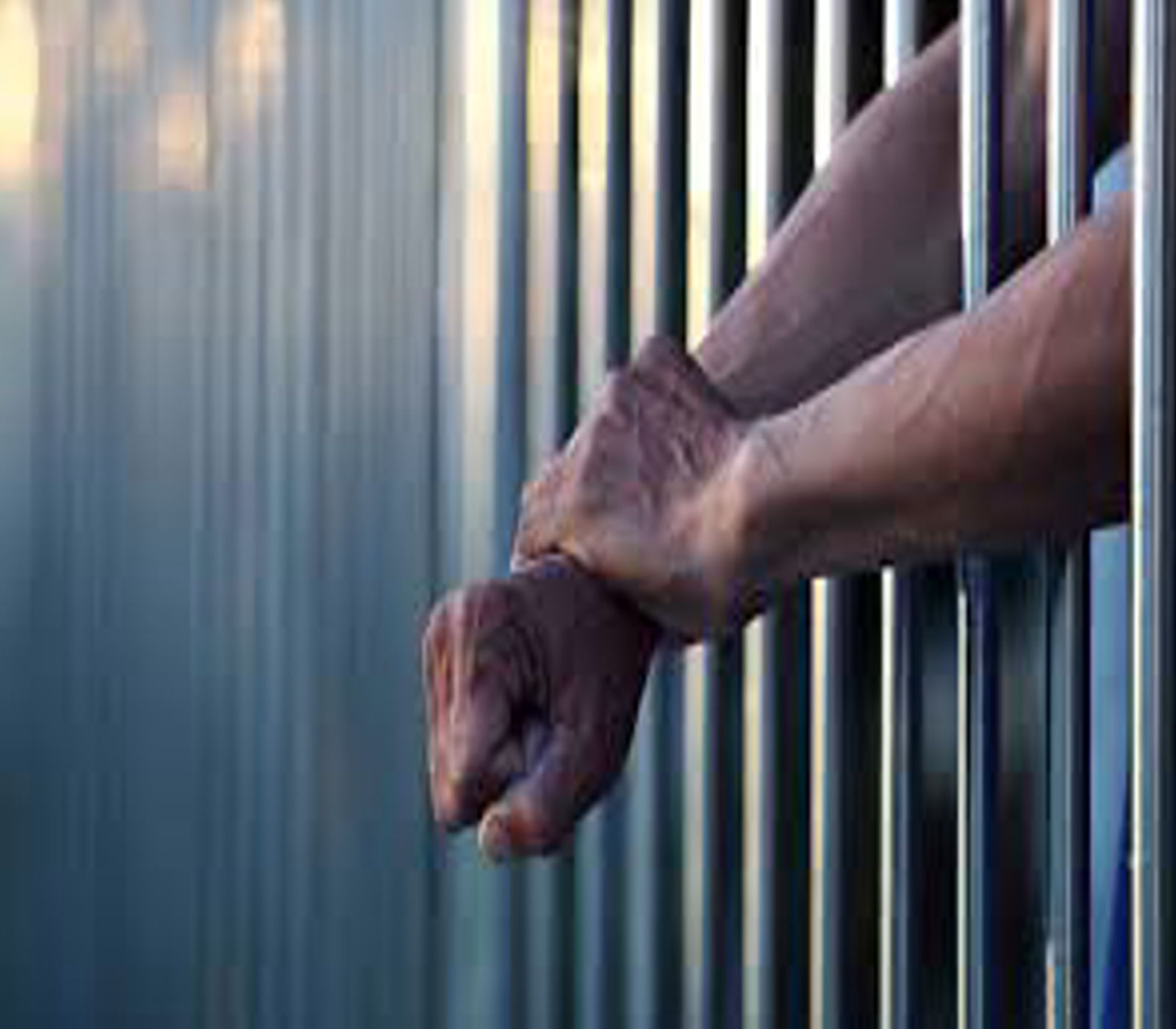 Valentine’s Crime: Suspect steals cellphone to afford flowers and date?