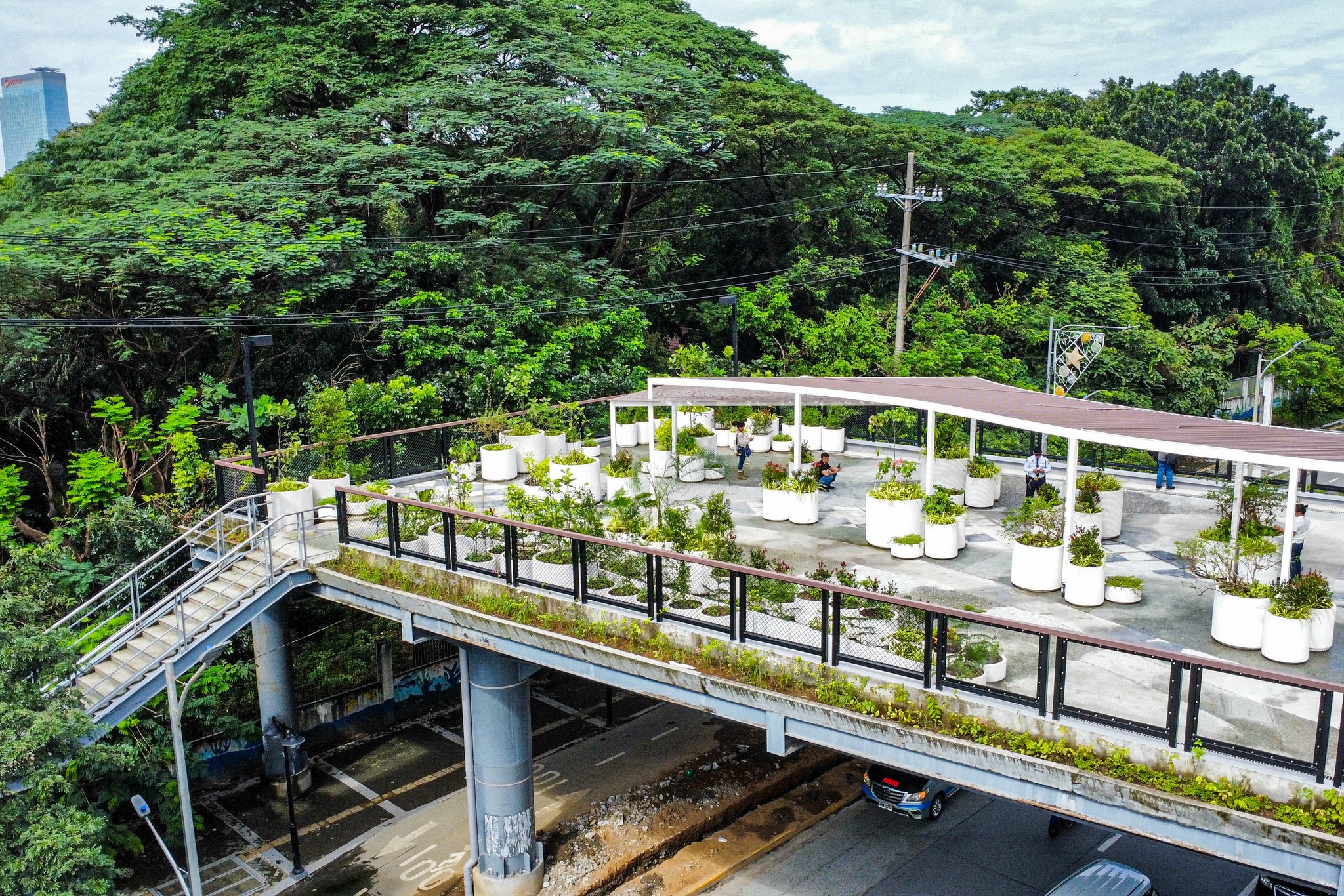 QC binuksan ang “green” overpass na nagdurugtong sa Circle at Wildlife