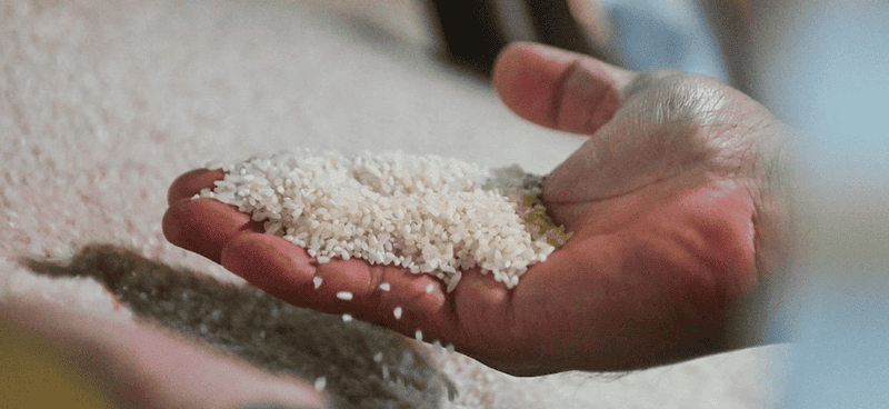 DA iniimbestigahan ang rice repacking scam sa Bulacan