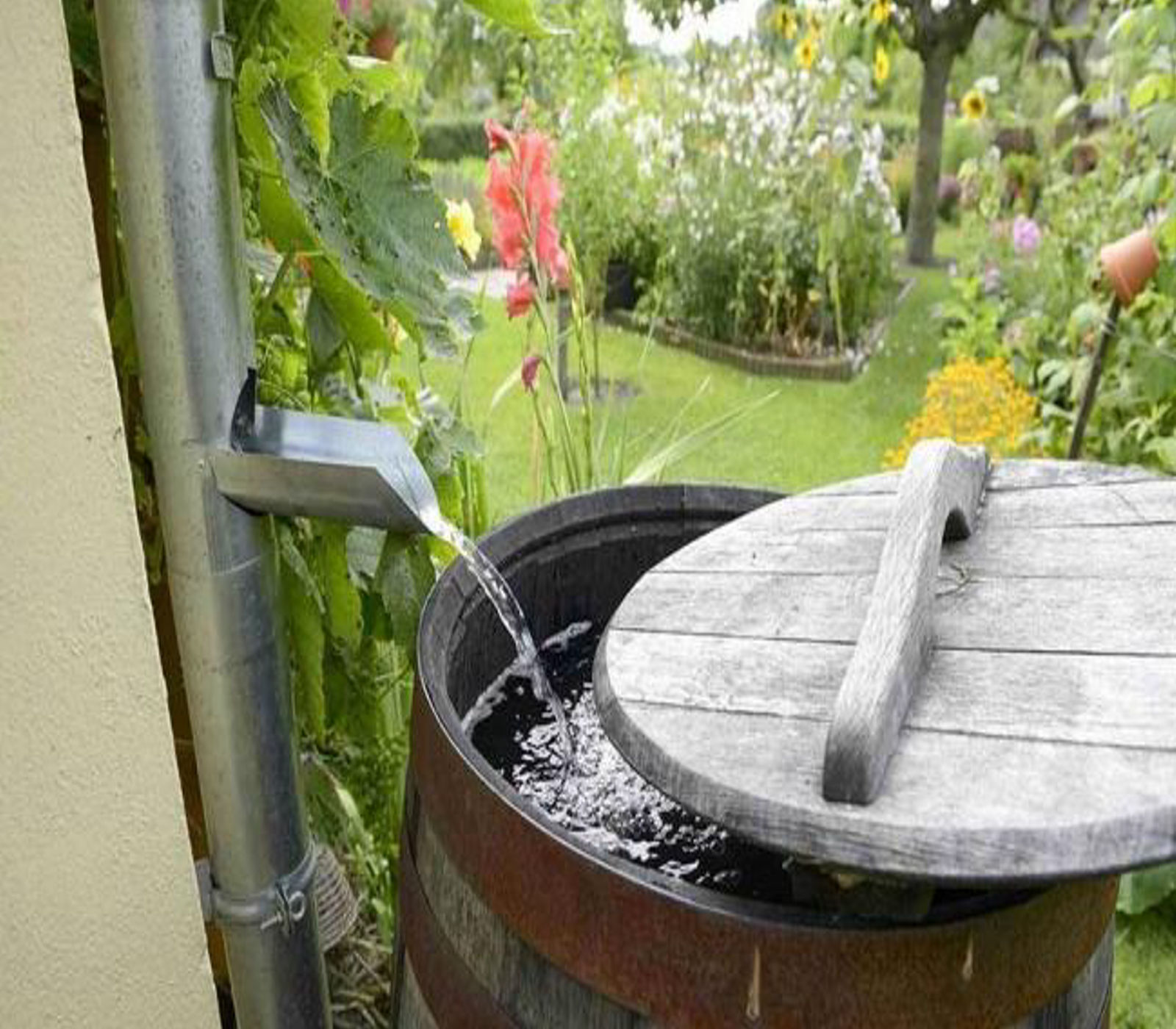 Butuan City pushes mandatory rainwater harvesting to combat flooding?