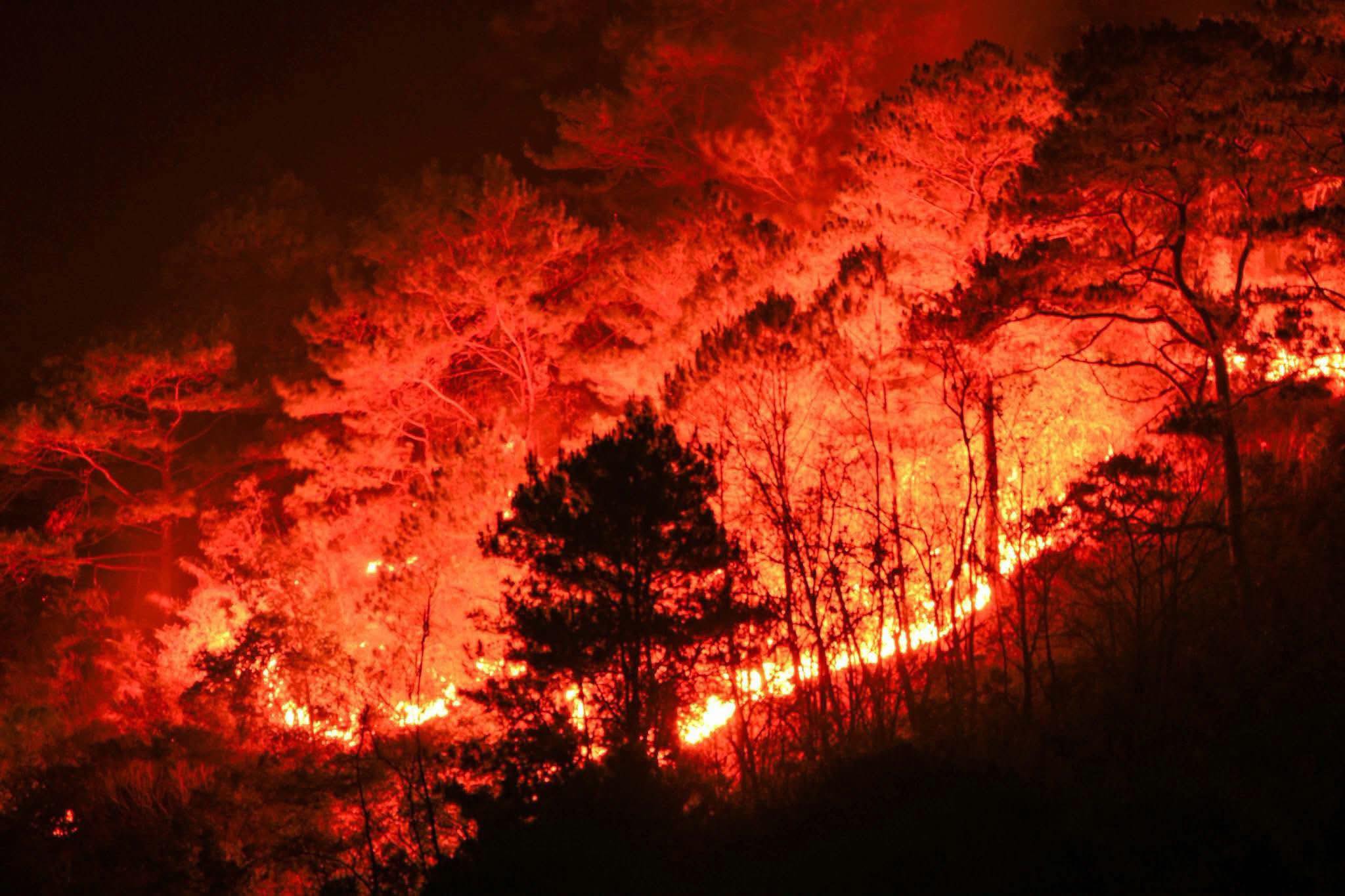 Massive forest fire erupts in Bontoc mountains — Natural disaster or warning of deeper environmental neglect?
