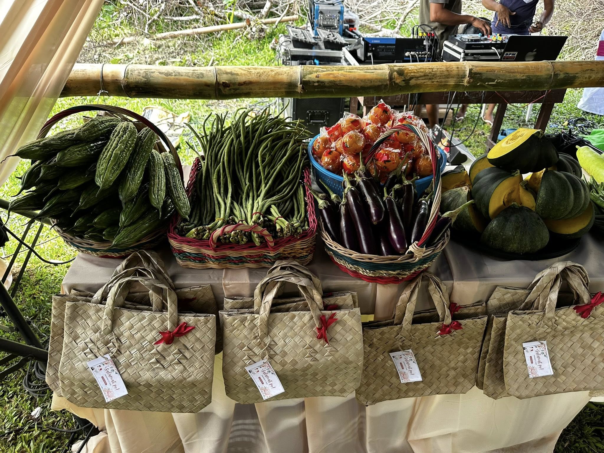 Eco-friendly wedding in El Nido draws praise after giving vegetables as souvenirs